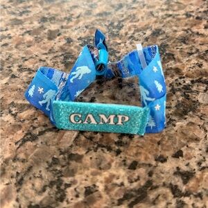 Blue Camp Flog Gnaw Tyler the Creator Wristband from the event